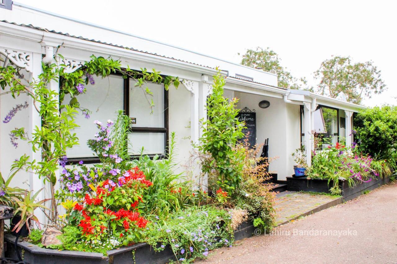 Le Chalet Waiheke Apartments Ostend Kültér fotó